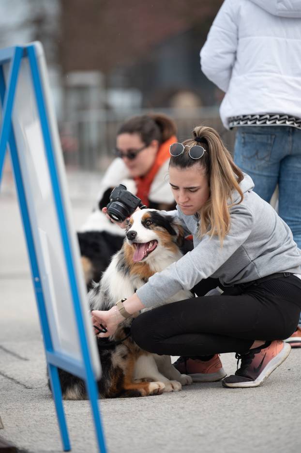 U Zaprešiću održana CAC nacionalna izložba pasa