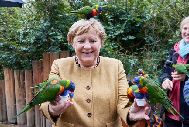 Federal Chancellor Angela Merkel visits the bird park Marlow