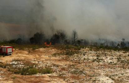 Pula: Više od 40 vatrogasaca gasilo je požar niskog raslinja