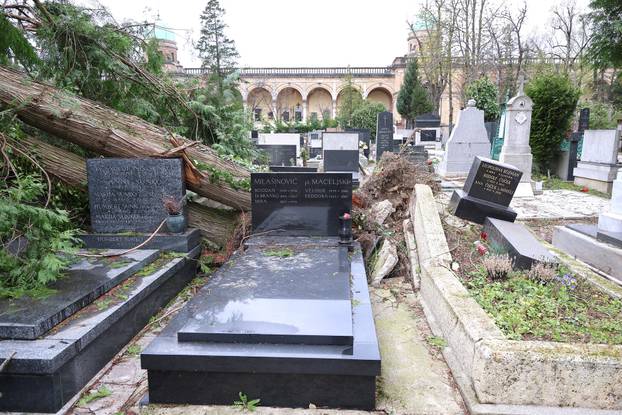 24sata Zagreb: Poljedice velikog nevremena na Mirogoju