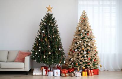 ANKETA Kakvo drvce treba imati kod kuće za Božić? 'Pravo', 'pravo' u tegli, ili pak umjetno?