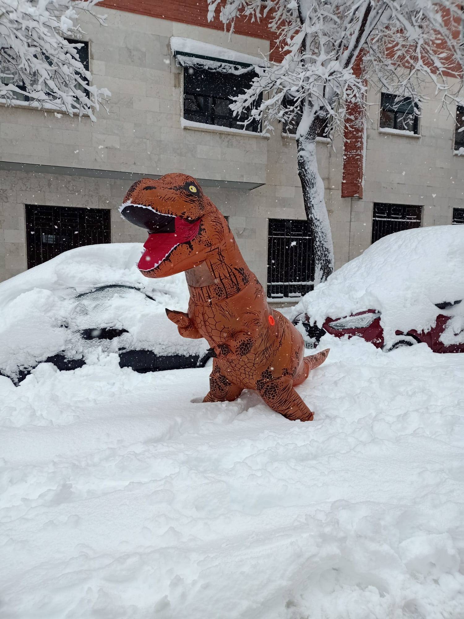 T-Rex checks out snow in Madrid