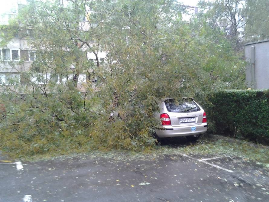Čitatelj 24sata