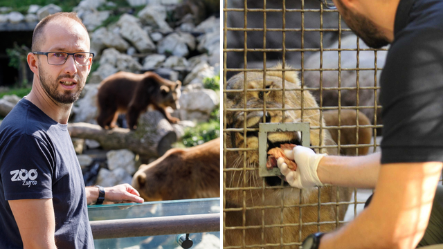 Mirko već deset godina brine o lavovima i medvjedima: 'Za njih sam dio čopora, jedu mi iz ruke'