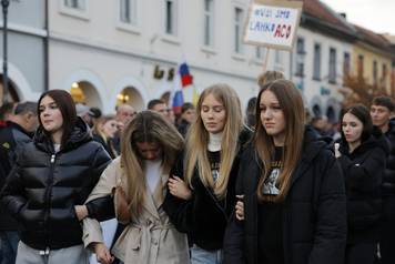 Novo Mesto: Građani pristižu na prosvjedni skup, održat će se i politički summit