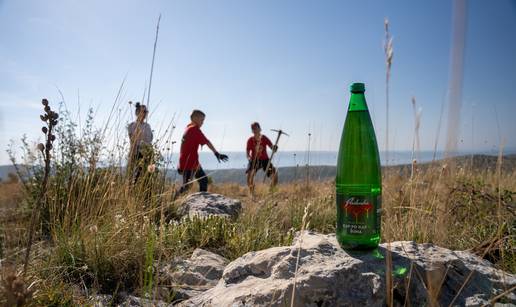Tri srca u akciji pošumljavanja opožarenih područja u Dalmaciji