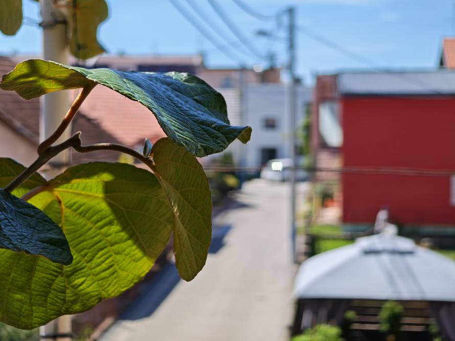 Isprobali smo Honor Magic V5: Nevjerojatno tanak i moćan