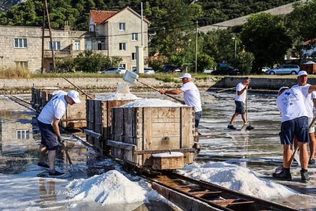 Berba soli u Stonskoj solani