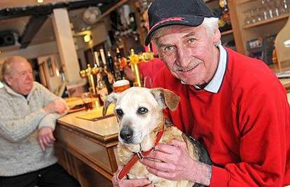 Lulu ima 147 psećih godina i najstariji je pas na svijetu