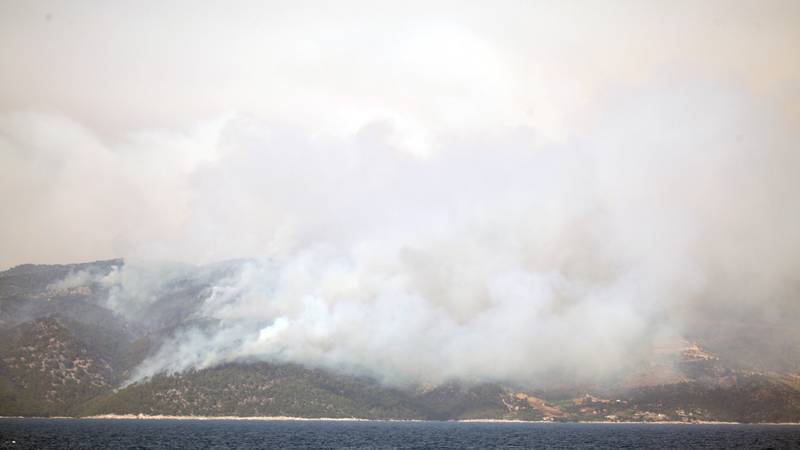 Požar na Zlatnem ratu na Braču, v pomoč priskočil tudi kanader