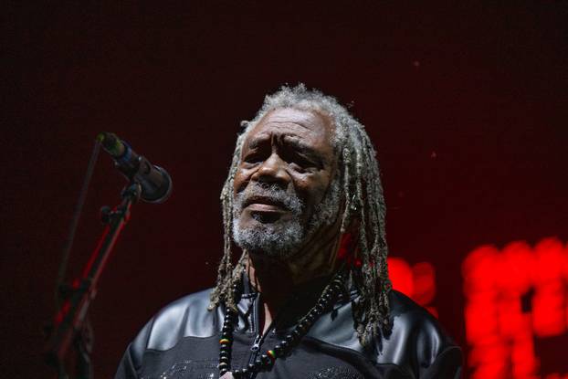 Zagreb: Massive Attack nastupio je na zadnjem danu 17. INMusic festivala