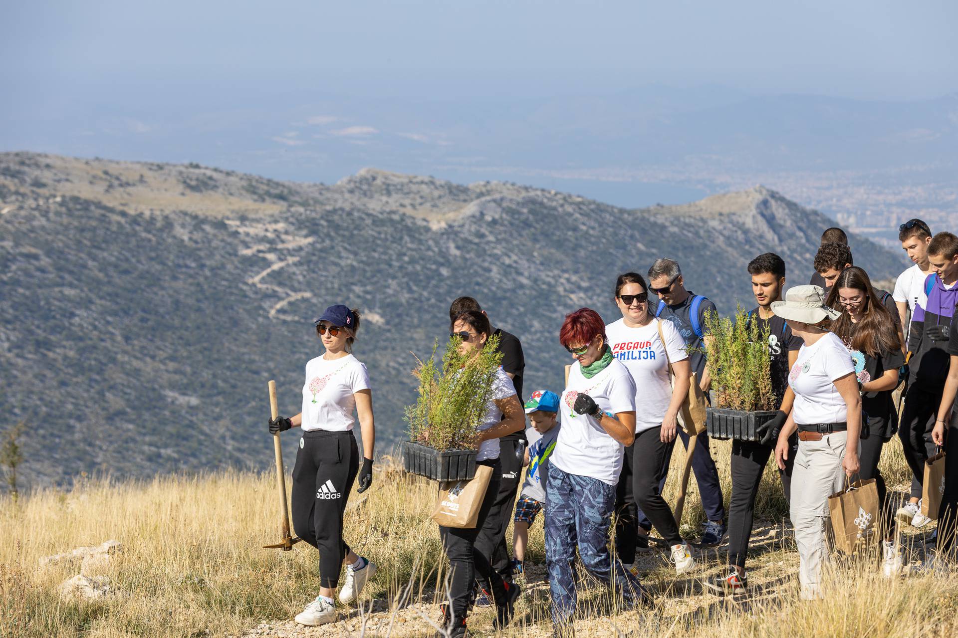 Tri srca u akciji pošumljavanja opožarenih područja u Dalmaciji