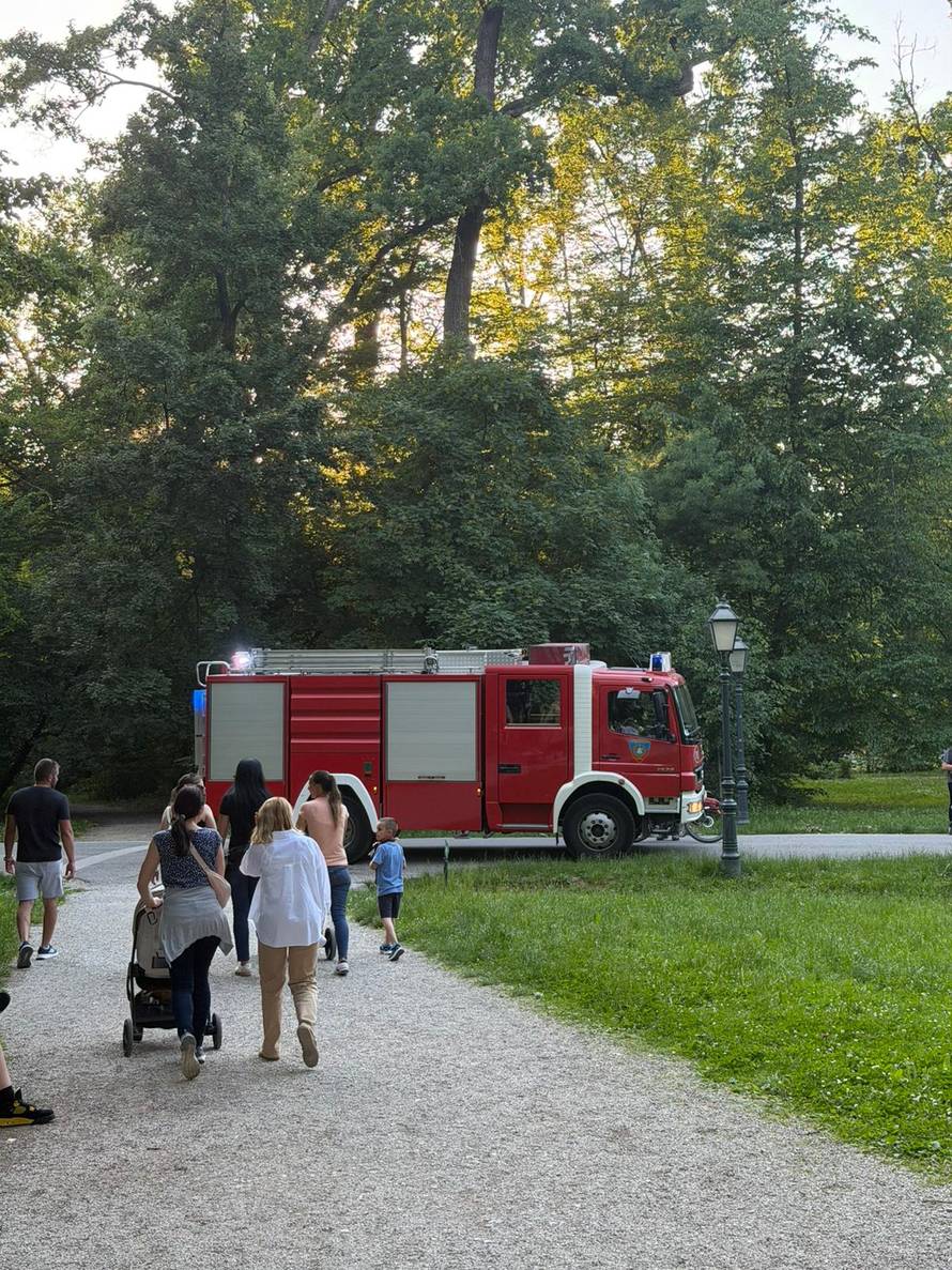 VIDEO Planula trafostanica na ulazu u Zagrebački ZOO! Odmah na teren dojurili vatrogasci...