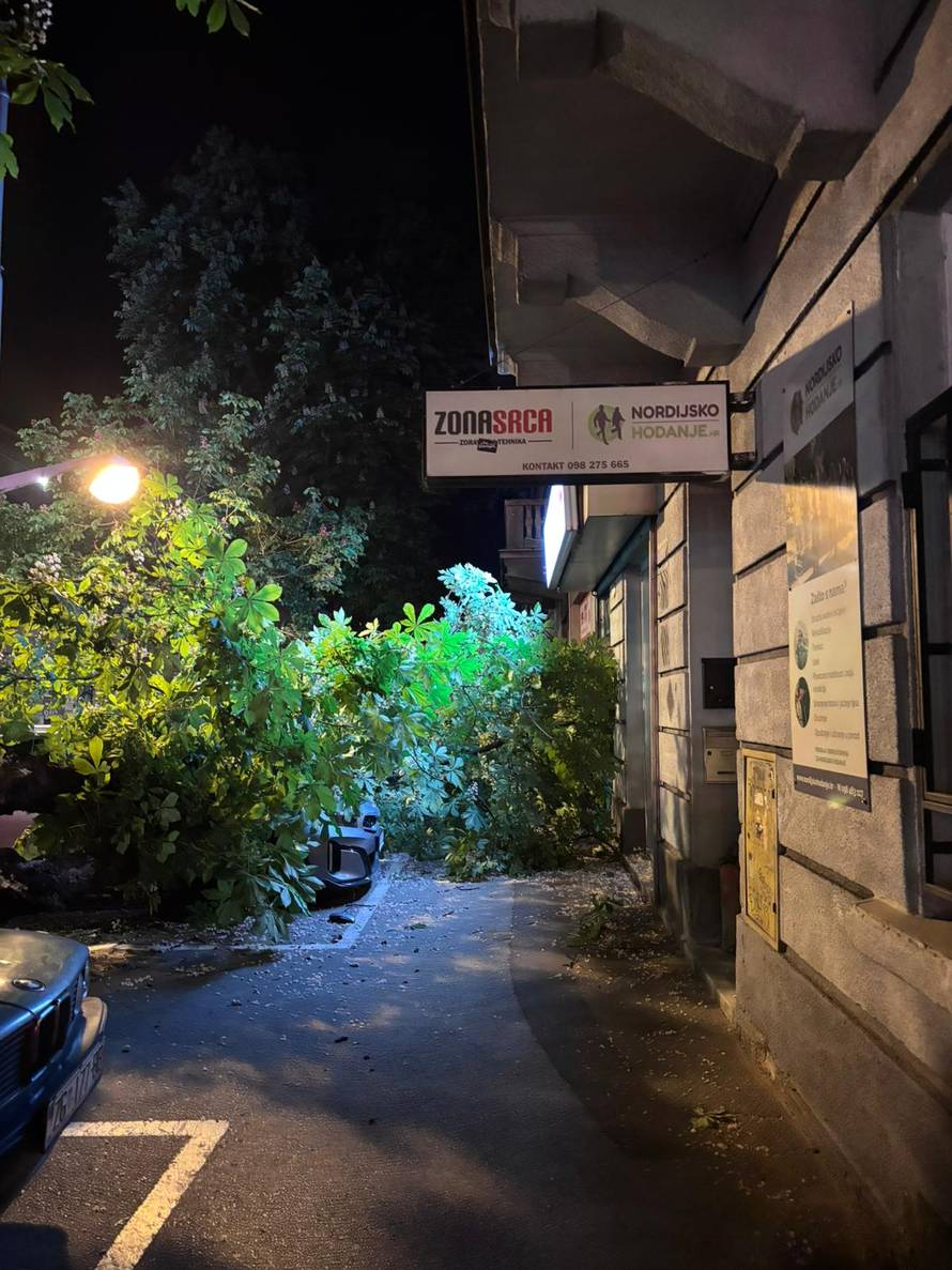 FOTO Ogromno stablo palo na auto i pločnik u Zagrebu!