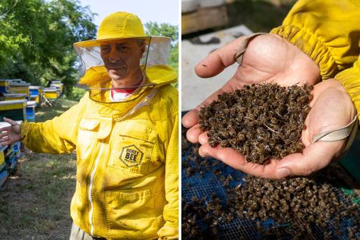 Tuga vukovarskog pčelara i bivšeg logoraša: 'Otrovali su mi 500.000 pčela od kojih živim'