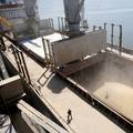 Ukrajina tvrdi: Brodovi sa žitom prolaze kroz ušće Dunava
