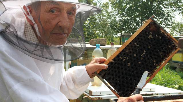 'Imam pčele 81 godinu, a toliko ih volim da im pišem pjesme...'
