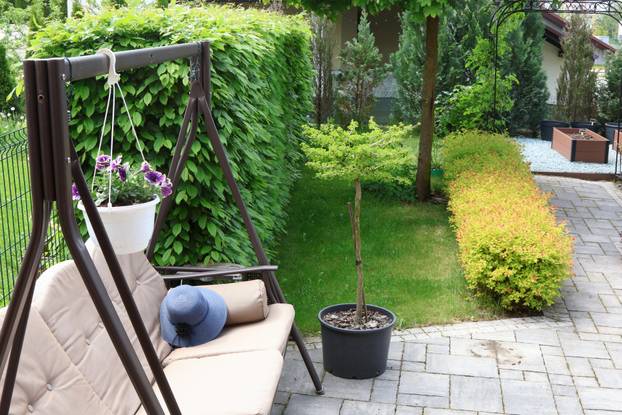 Pillow swing in backyard. Garden on sunny spring day. Flowers, bushes, trees. Hedge of hornbeams. 