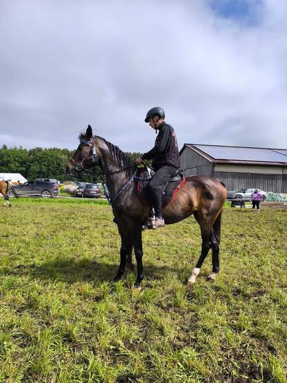 Izvrsni rezultati jahača KK Istra na Bavaria Endurance Festivalu