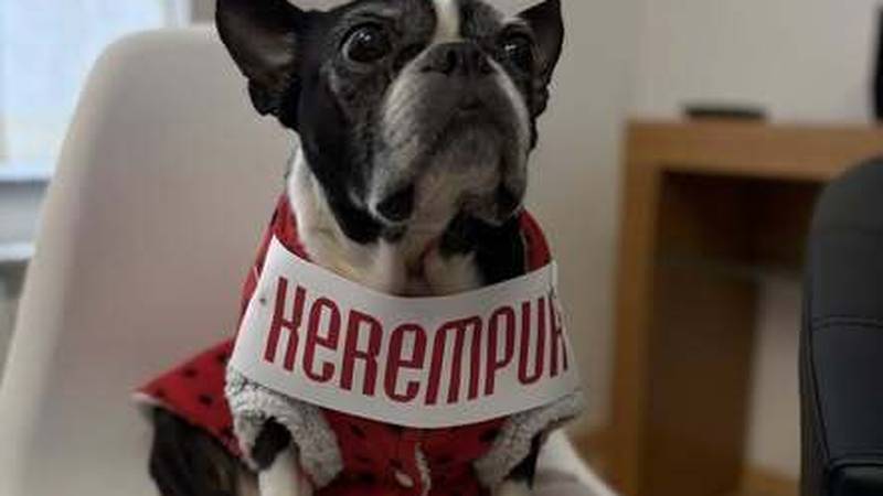 Pas u ansamblu Kerempuha: 'Naravno da smo se malo šalili'