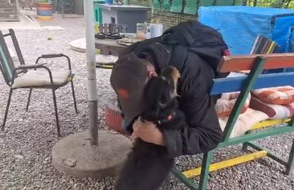 Video koji mami suze: Čovjek iz Osijeka je nakon pet mjeseci ponovno zagrlio svog psa