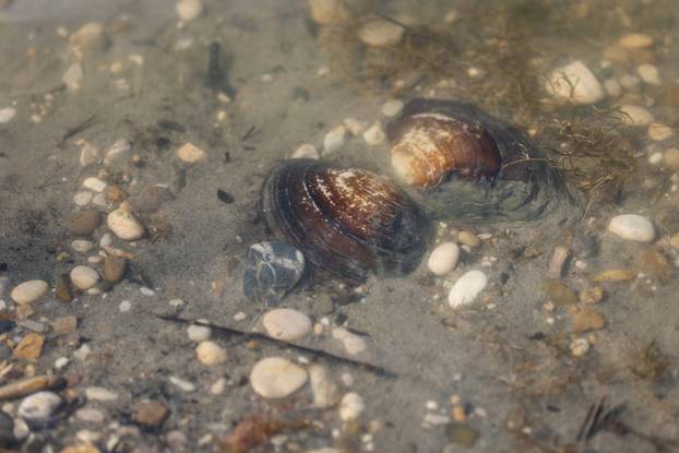 Zagreb: Šoderice Blato omiljeno su okupljalište lokalnih ribiča
