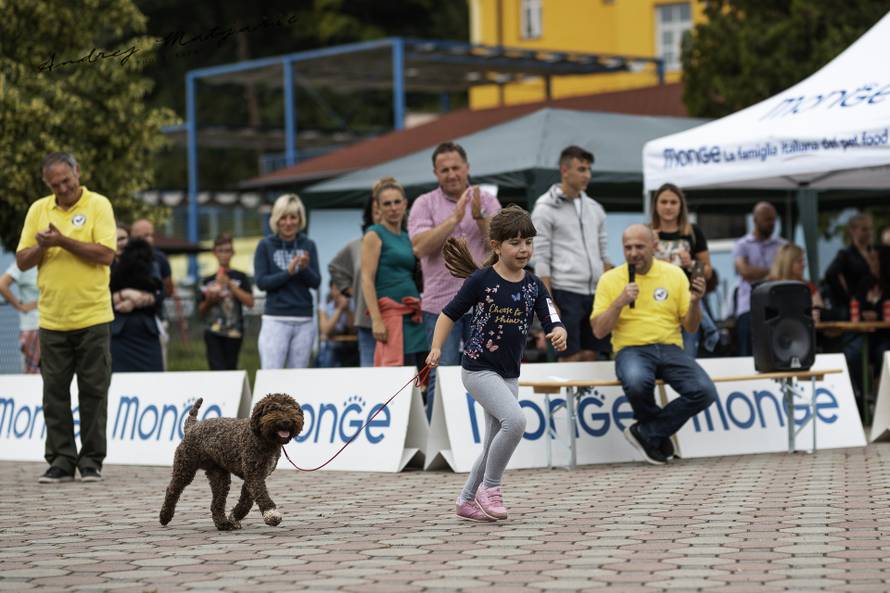 Izložba pasa: Luka je proglašen najboljim vodičem, a prvo je nazvao mamu: Pobijedio sam!