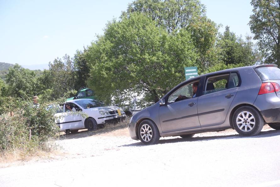 Vrlika: Danas po?inje cijepljenje stoke zbog bedrenice