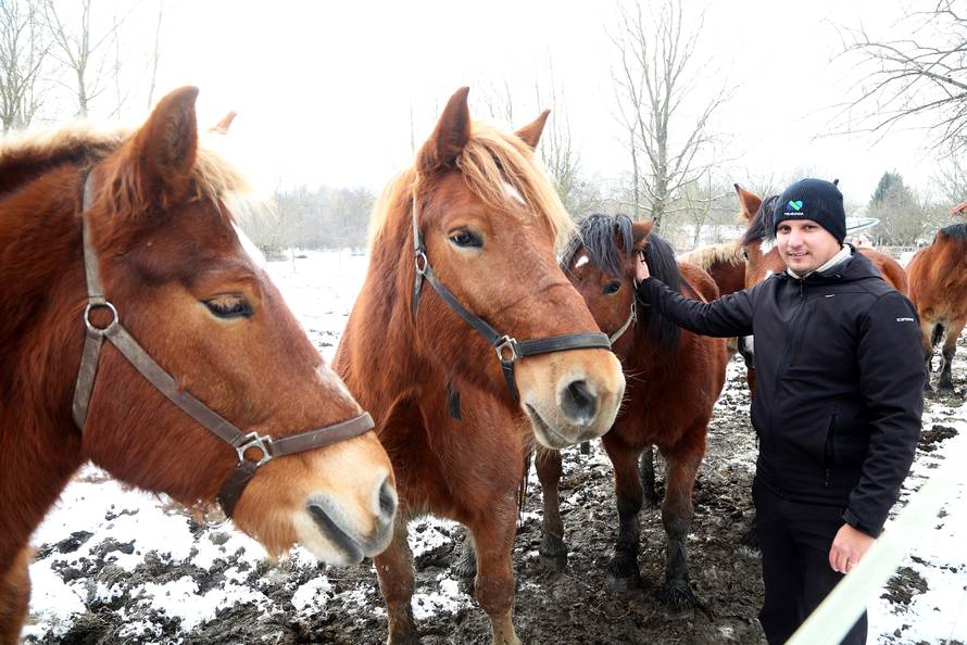 Da ove kobile nisu kod nas, vjerojatno bi bile u kobasama...
