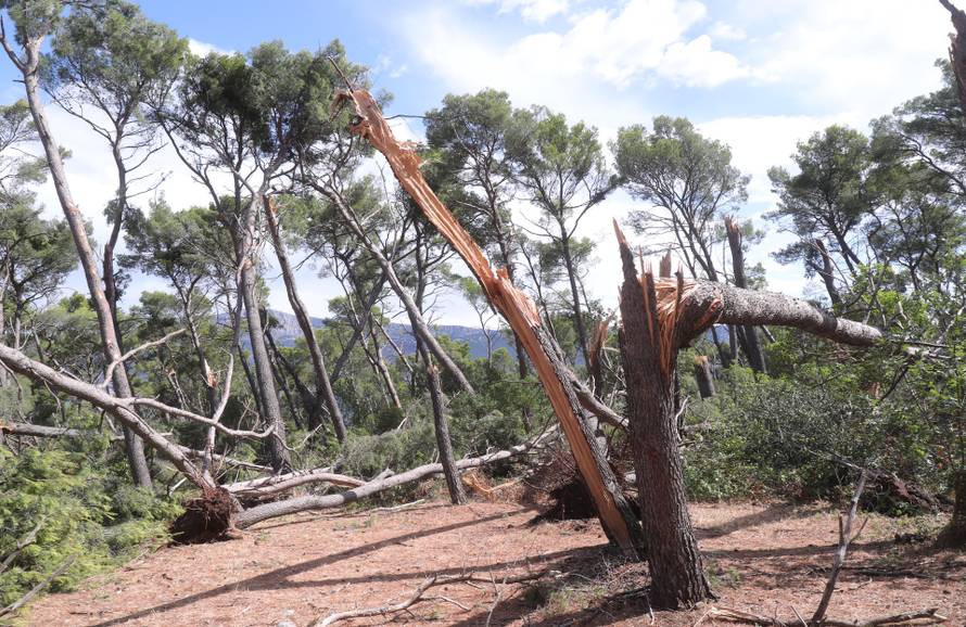 Posljedice velikog nevremena u Splitu, Marjan oštećen i zatvoren za građane