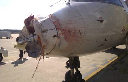Hitno slijetanje: Jato ždralova napravilo rupu u nosu aviona