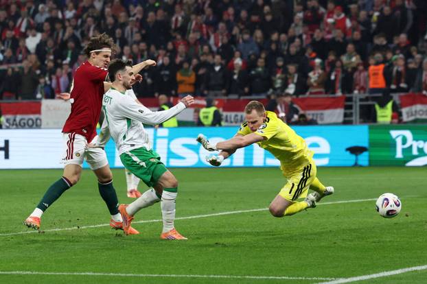 World Cup - UEFA Qualifiers - Group F - Hungary v Republic of Ireland