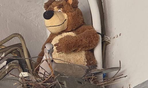 Zagreba&ccaron;ki vatrogasci 'stra&scaron;nim medom' poku&scaron;ali  otjerati ptice. Ovako je zavr&scaron;ila ta 'akcija'