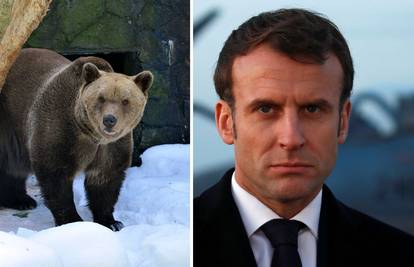 Macron rekao ne slovenskim medvjedima: Zabranili su uvoz