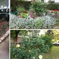 Ljudi stavljaju slike svojih mini vrtova u grupi na Facebooku