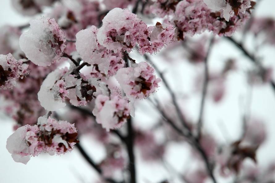 Zabijelili se Brač i Klis: Stigao snijeg kojeg nitko nije očekivao