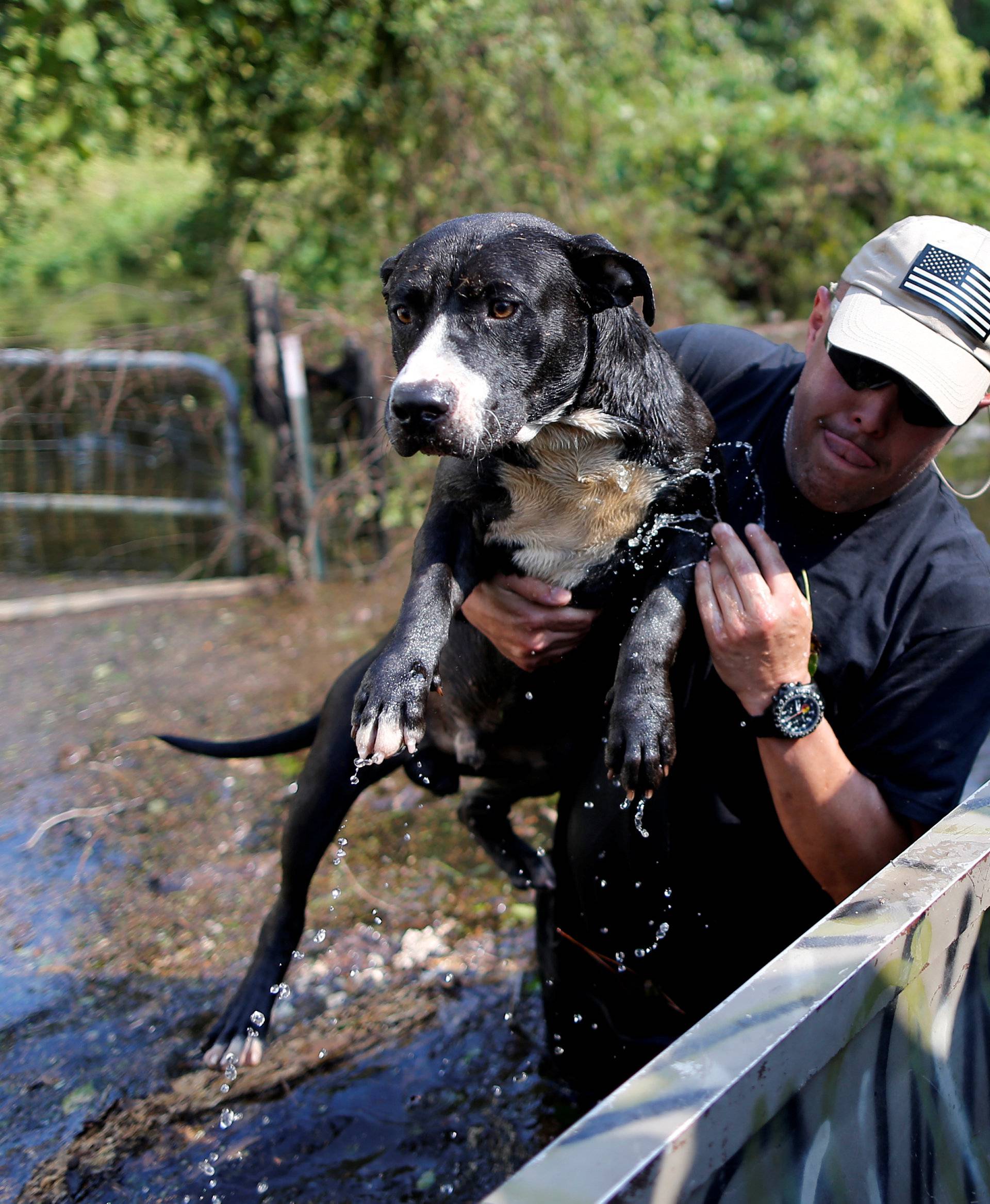 A man rescues a dog from the flood waters of Tropical Storm Harvey in Rose City