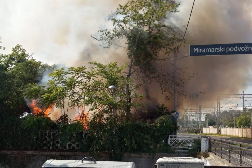 Gori u botaničkom vrtu