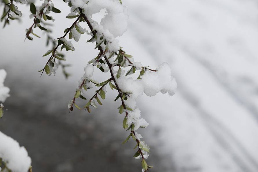 Snježni pokrivač je zabijelio je Osijek