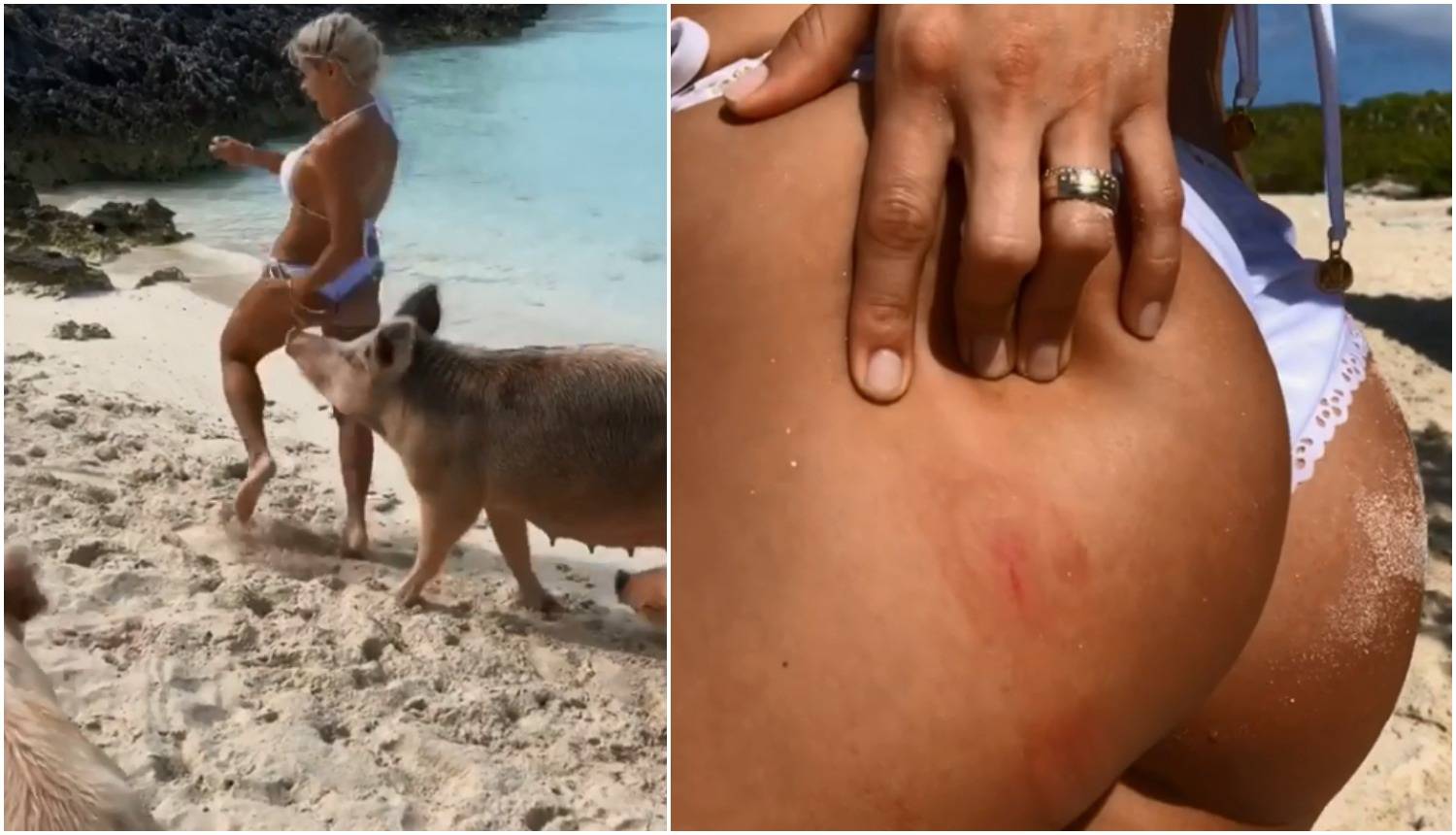 Manekenka pokazivala guzu na plaži pa ju za nju ugrizla svinja