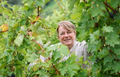 Enologinja Jasminka: Zagorci, evo ovak' se dela pravo vino!