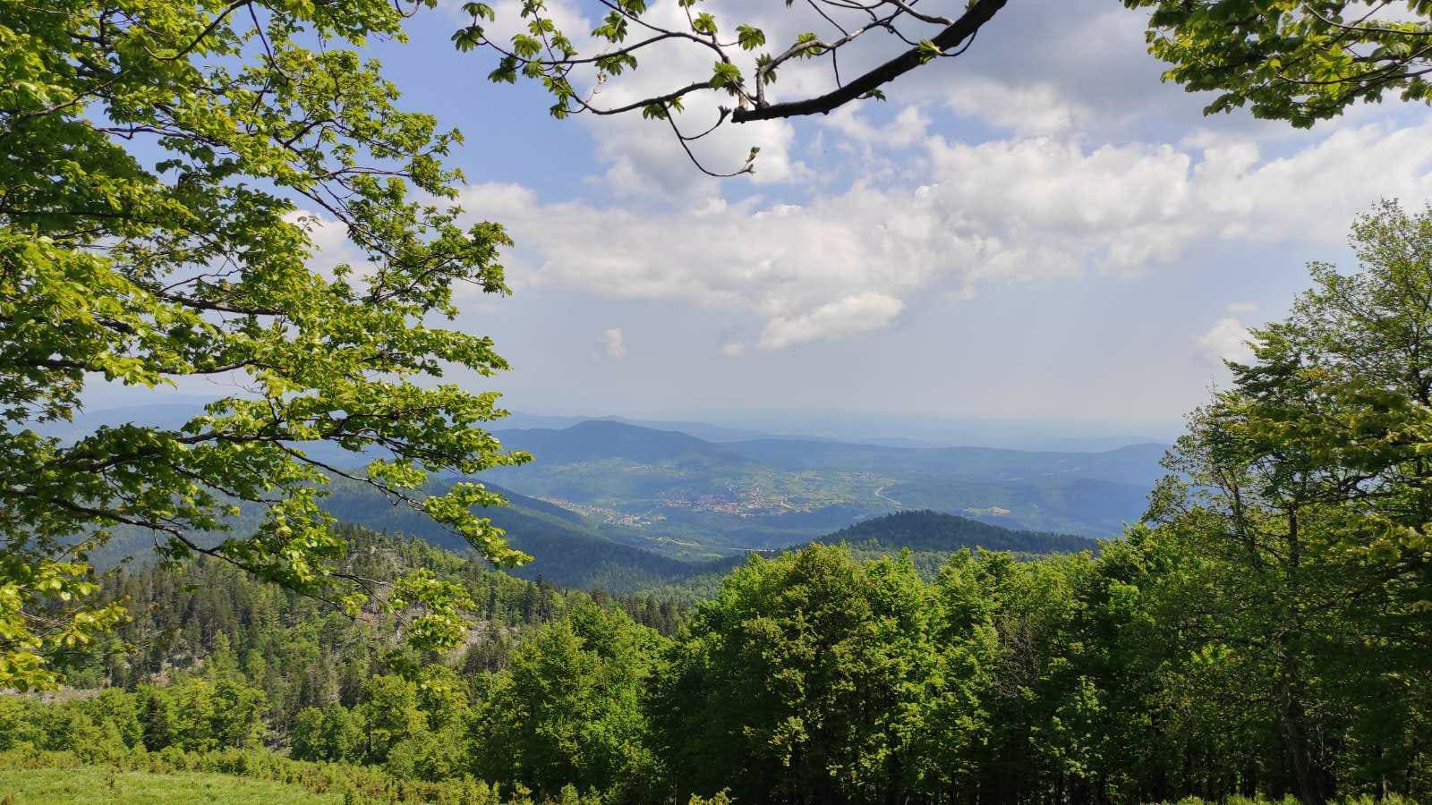 Vrbovsko - planinarski izlet