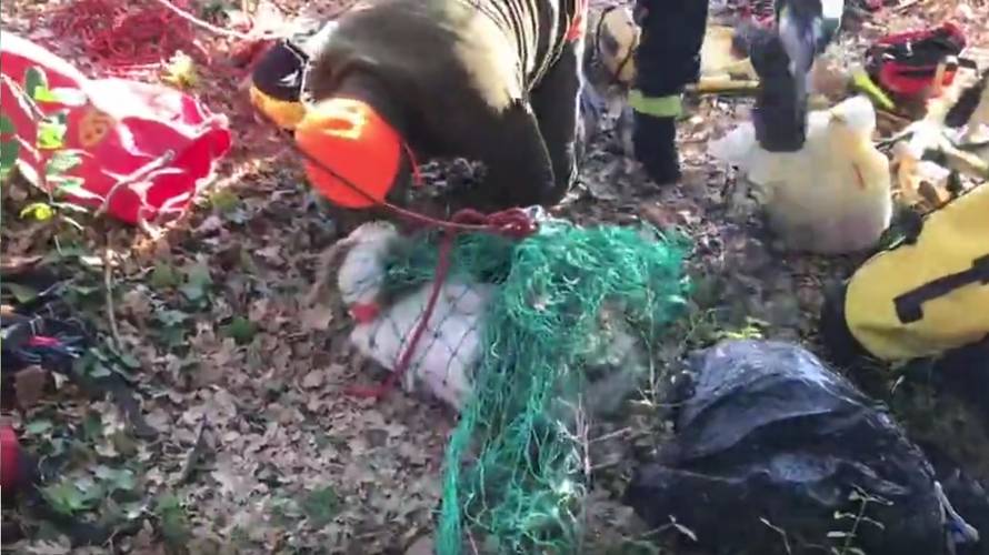 Došli se pozdraviti s psom koji je pao u jamu i čuli lavež s dna