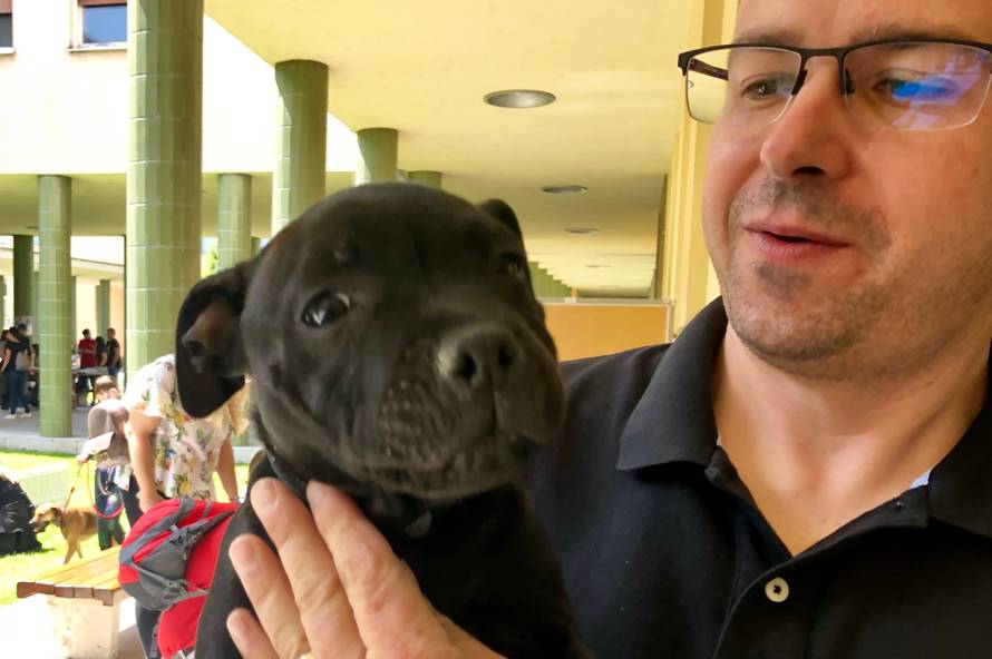 Na jednom mjestu najljepše i najpametnije pasmine pasa