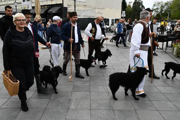 FOTO Slavonski Brod oborio rekord: Na Pogačafestu ispekli pogaču dugačku 20 metara!