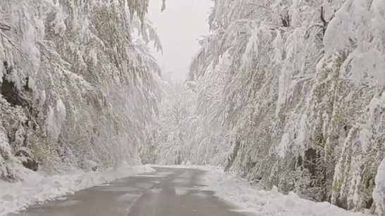 VIDEO Proljetna snježna idila na Sjevernom Velebitu: Zavižan zabijelilo 27 centimetara snijega