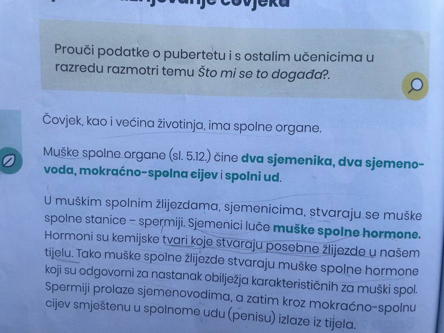 Ovo je udžbenik za 6. razred, pogledajte kako su prikazali muški, a kako ženski organ!