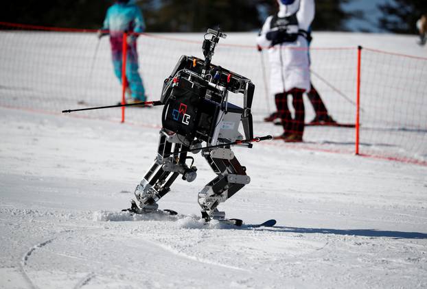 Robot Rudolph skies during the Ski Robot Challenge at a ski resort in Hoenseong
