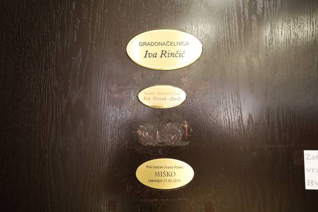 Miško ostaje prvi mačak Grada Rijeke i tijekom mandata Ive Rinčić