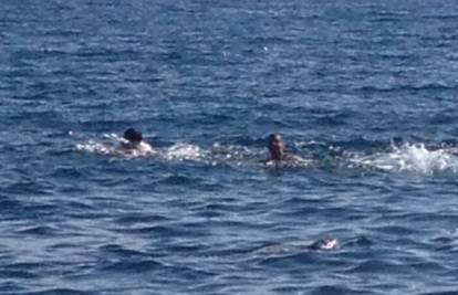 Bez straha: Guštali su plivajući s pitomim 'morskim čovikom' 